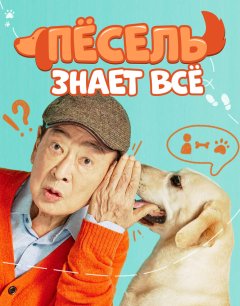 Пёсель знает всё / Gaesori / 2024 